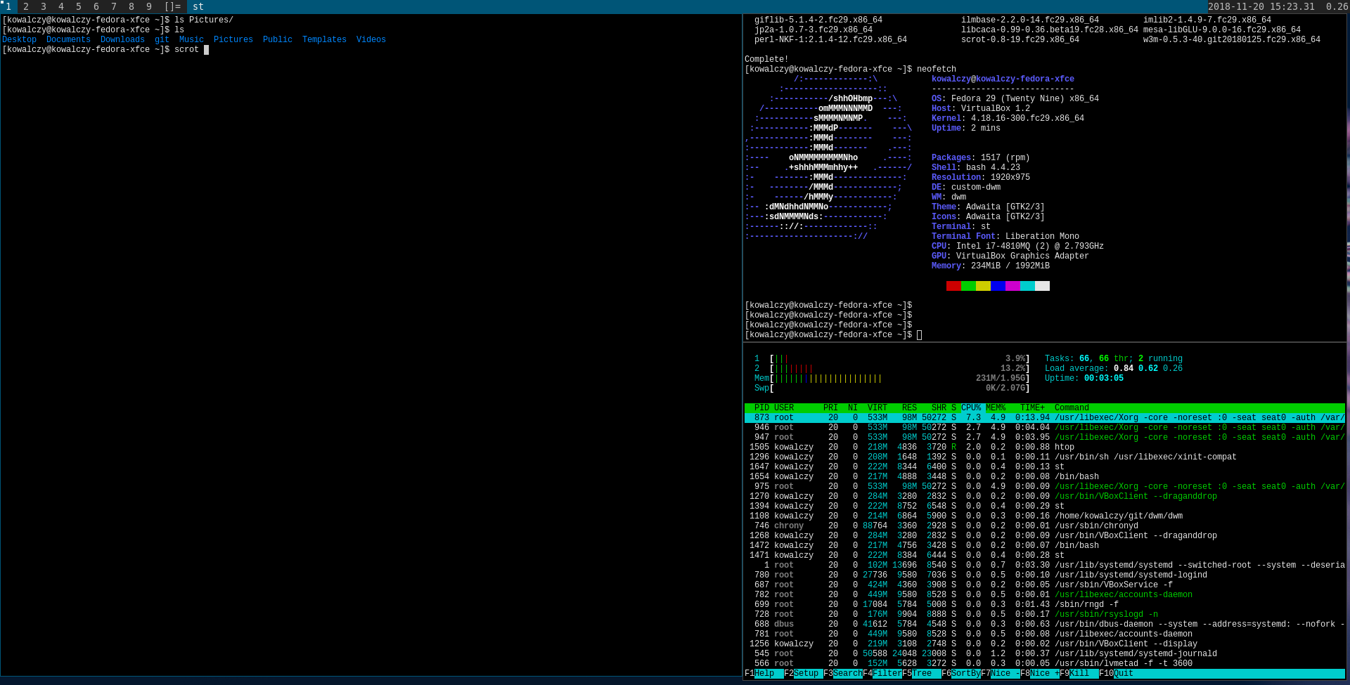 Fedora 30 DWM screenshot