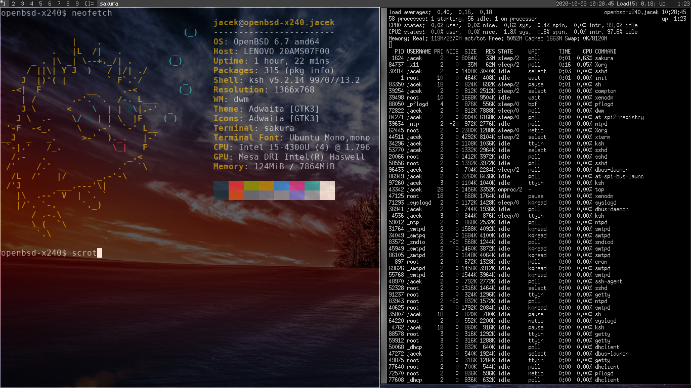 OpenBSD with DWM